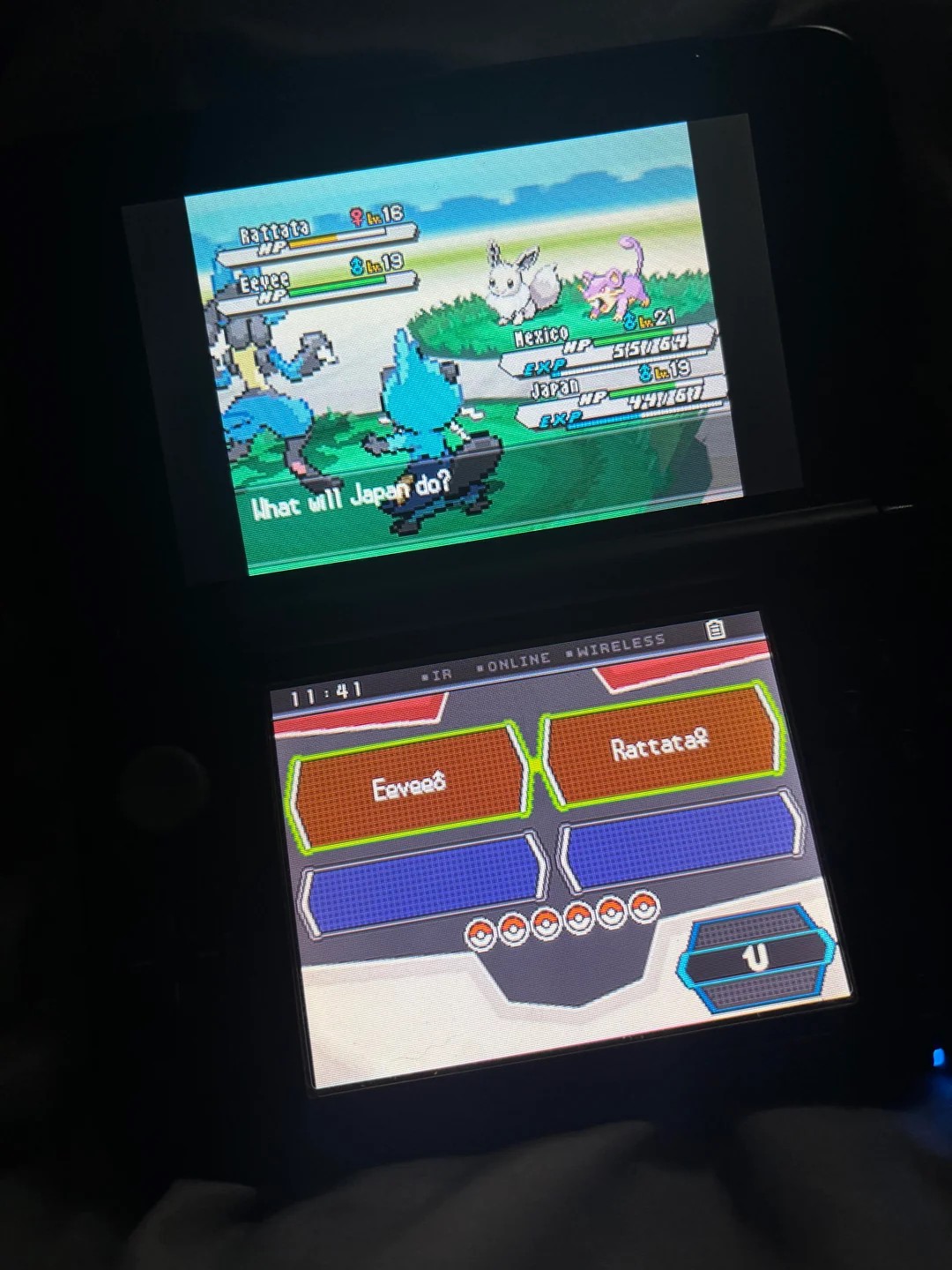 My rarest Nuzlocke encounter✨