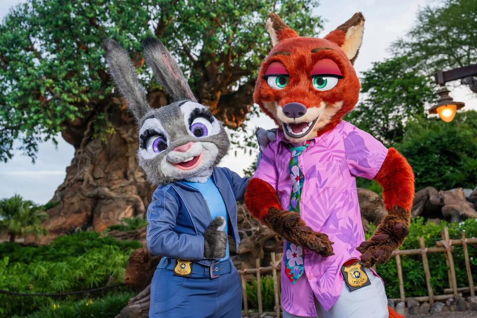 Disney Parks Are Getting a Major Glow-Up!
