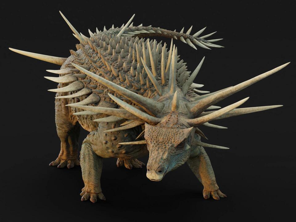 Dino Found: Spikes, Armor & a Wild Backstory