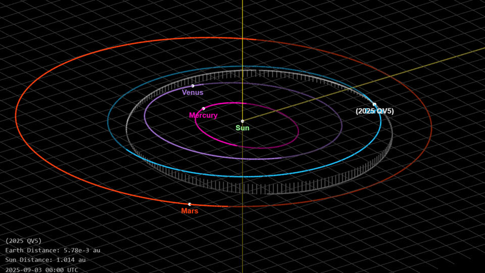 I Tracked the Asteroid. I Lost Myself