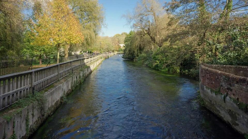 Microplastics Invade Pristine River?!