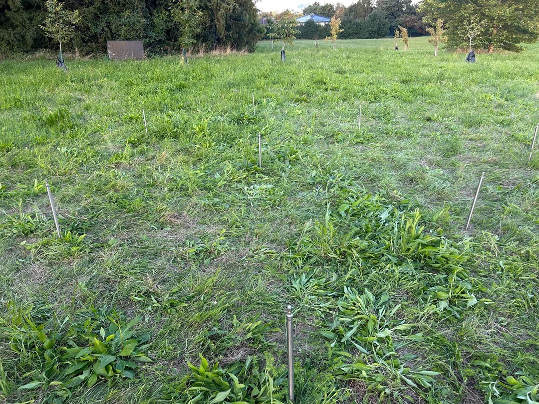 Nine Metal Rods Just Appeared on My Friend's Land. What Is Going On? 😦🤯