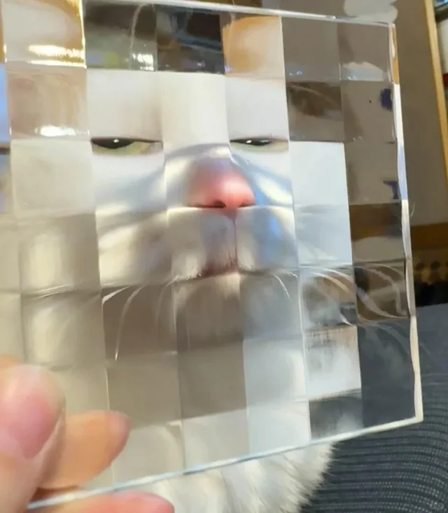 LOL cat is behind my mosaic decor piece