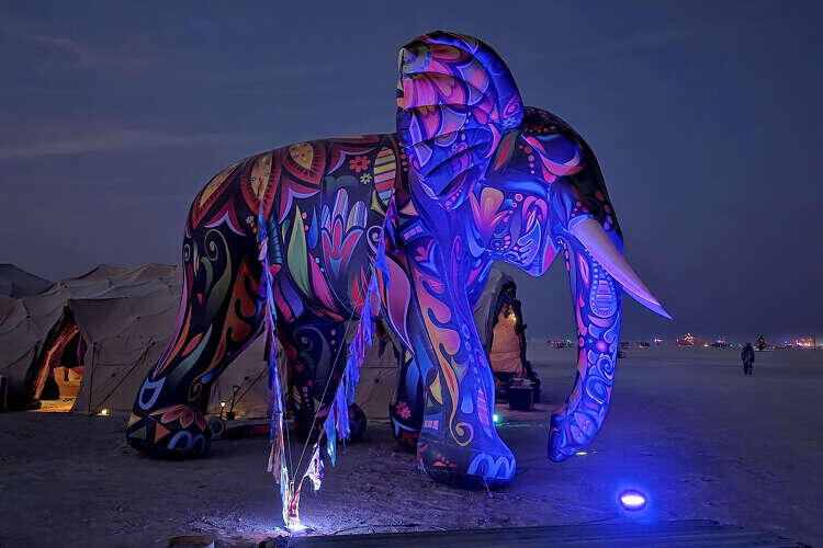 Burning Man 2025: Wild weather, wild stories