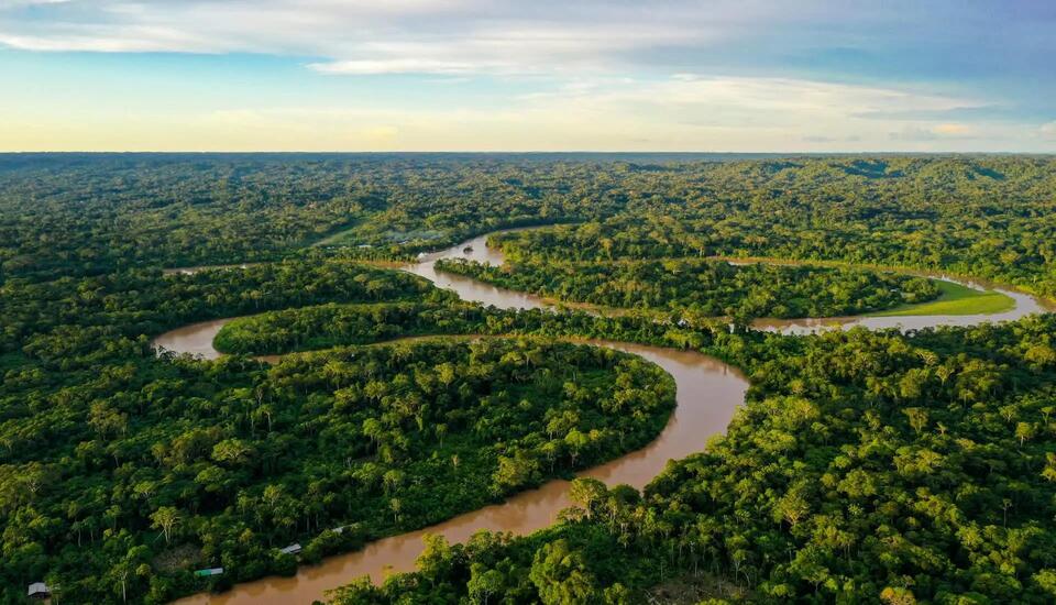 Amazon Soy Ban Paused—What It Means for You