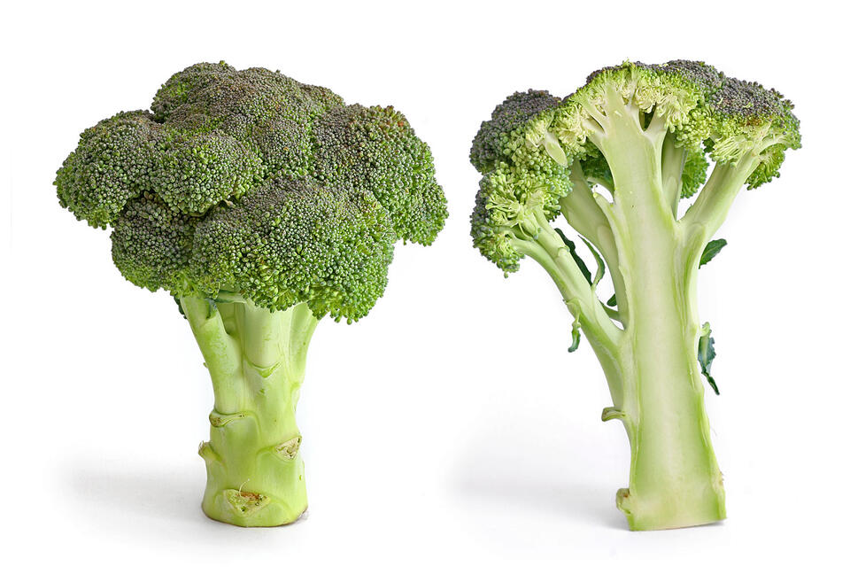 9 Foods to Keep Your Memory Sharp After 50