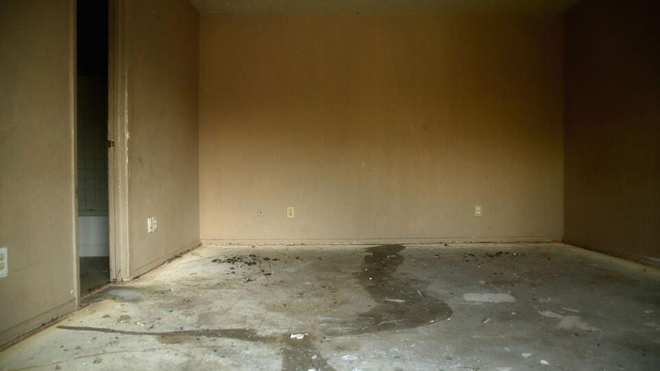 Renovation reveals haunting secret under old carpet