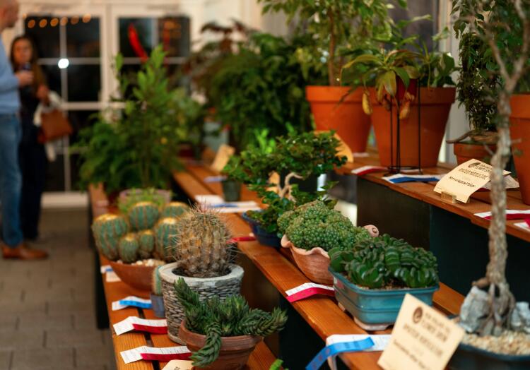 Wellesley’s September arts scene is buzzing!