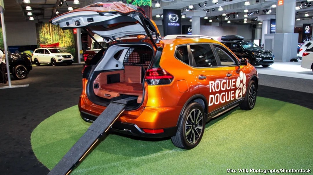 Nissan once built a car just for dogs, and it's seriously wild 😳