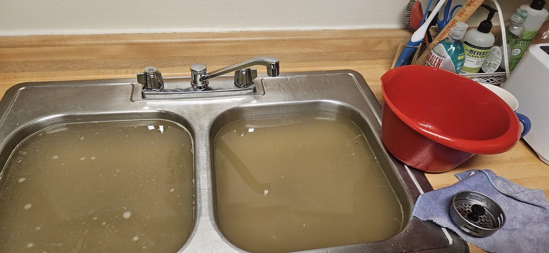 Our neighbors won't stop pouring grease down the drain