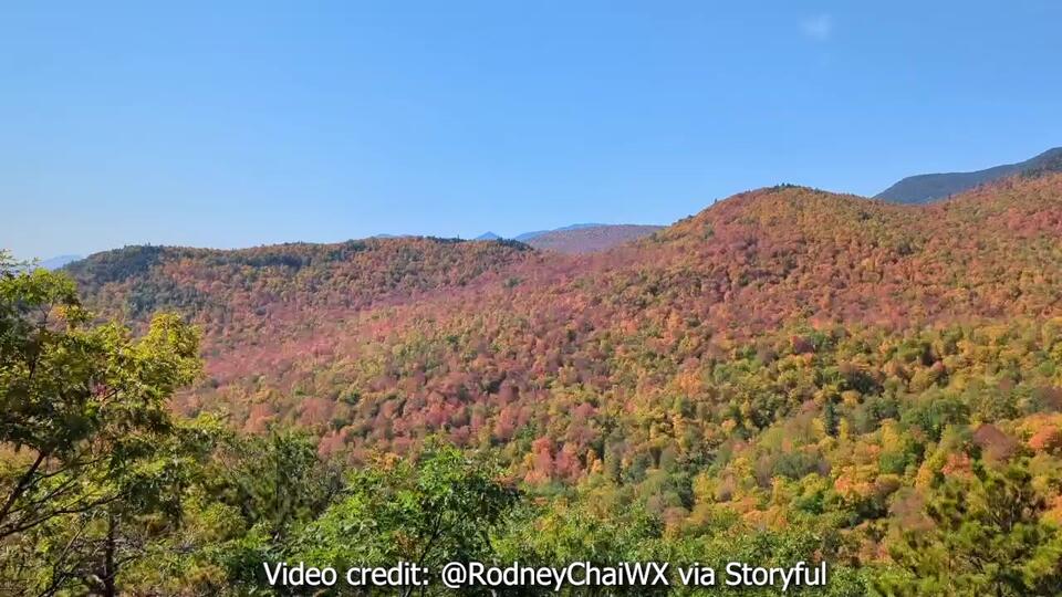 Connecticut’s apple orchards need your vote!