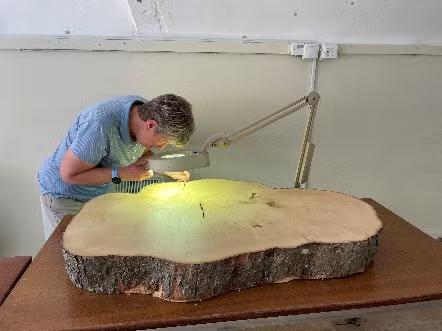 Sycamore Gap tree’s true age revealed after tragedy