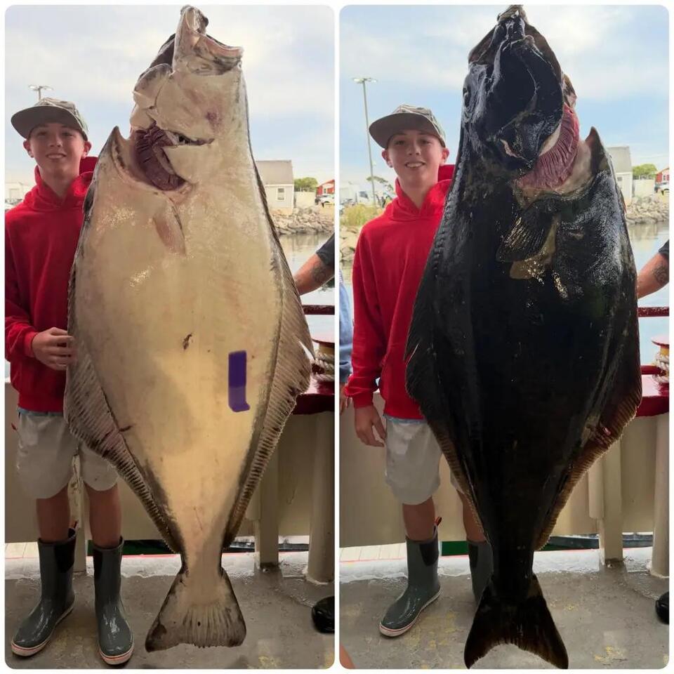 Surprising pompano catches light up Jersey surf