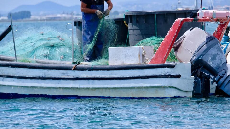 Orange Shark Sighting Has Fishermen Freaking Out