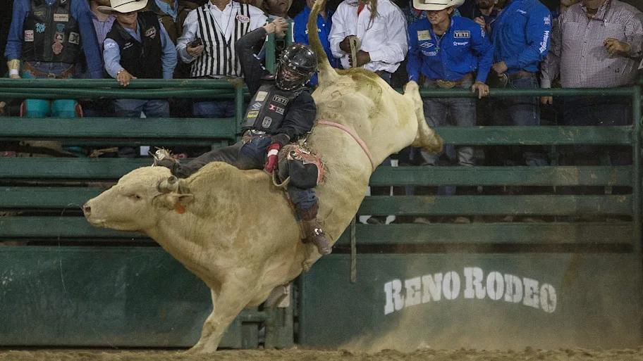 Wright Bros Dominate: Is This Rodeo’s Greatest Sibling Rivalry?