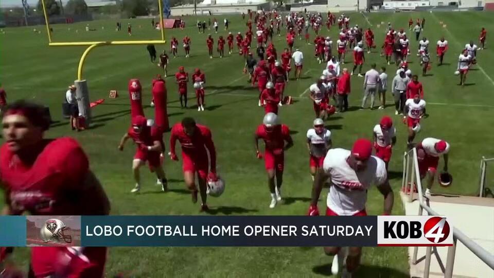 Lobo pride soars after Michigan showdown