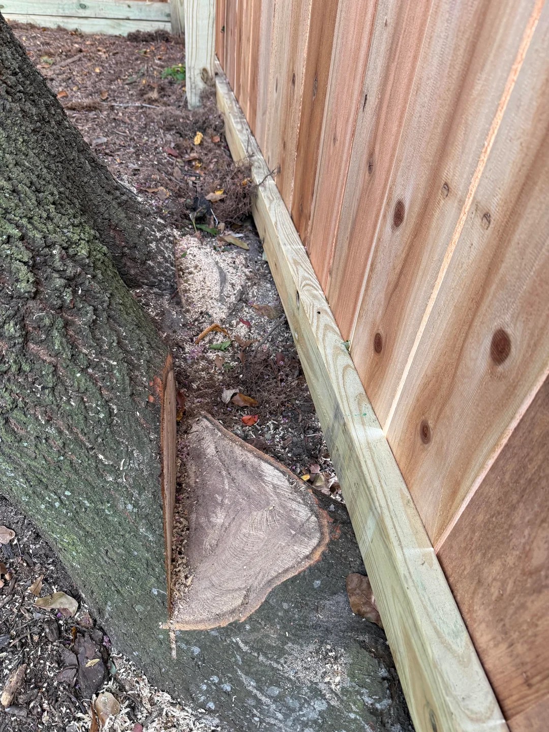 I told the contractors not to touch our tree. They cut it anyway. 😭