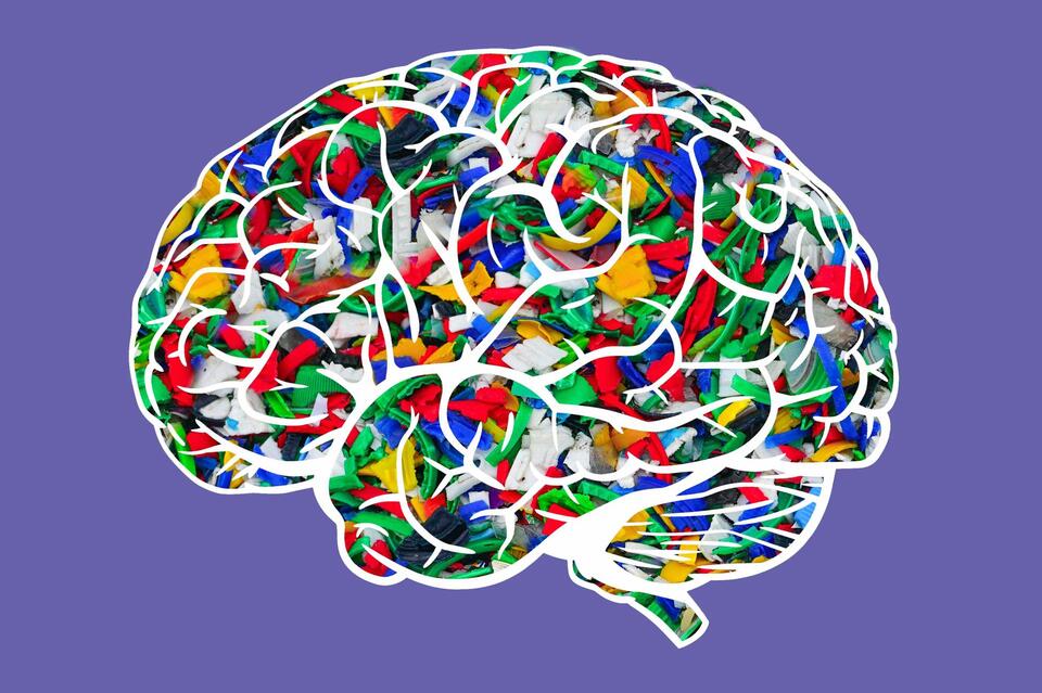 Microplastics in Your Brain?!