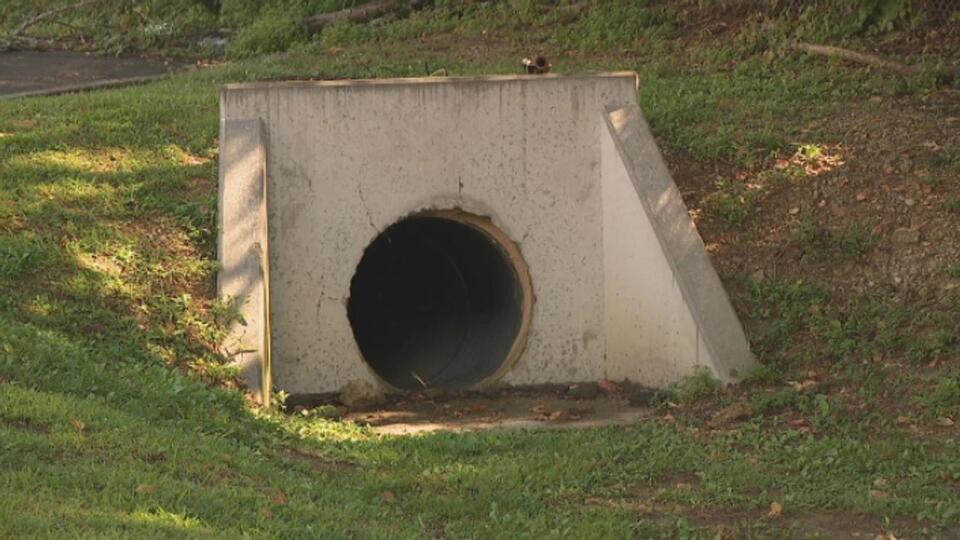 Chattanooga creek raises health alarm after goat deaths