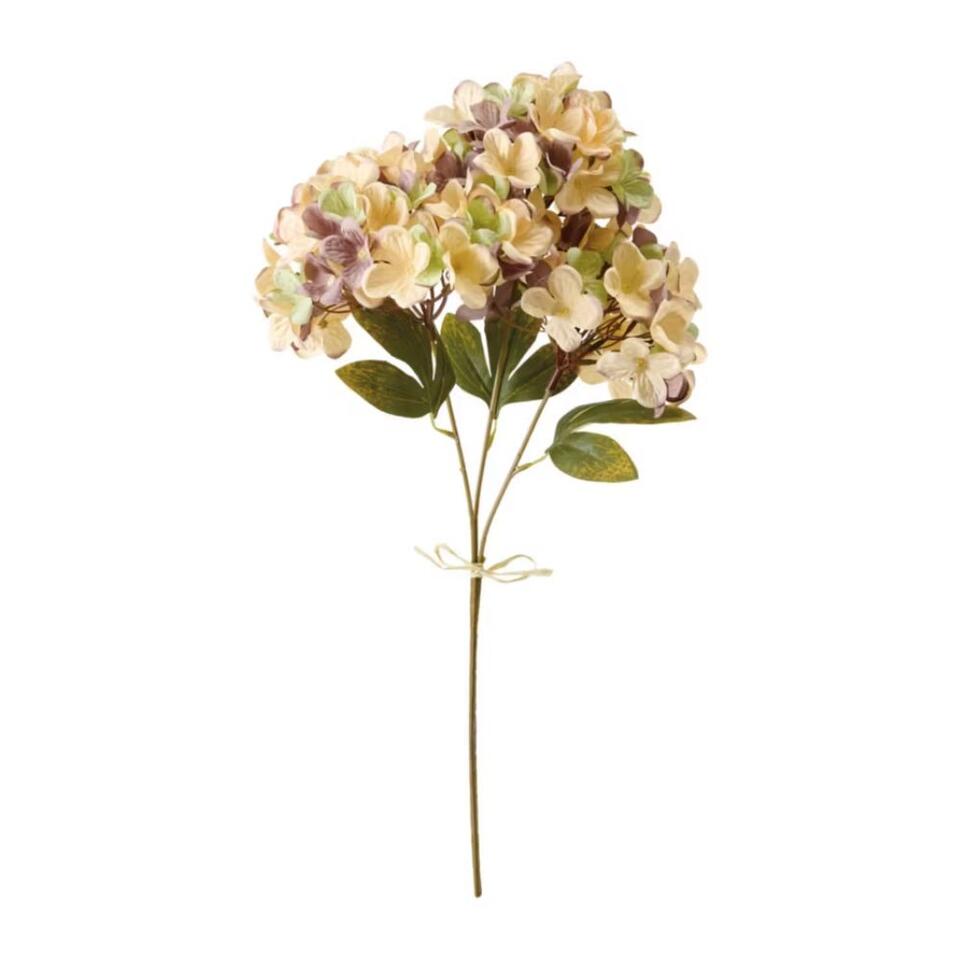 ALDI’s Fall Decor Drop Is Designer Vibes on a Budget