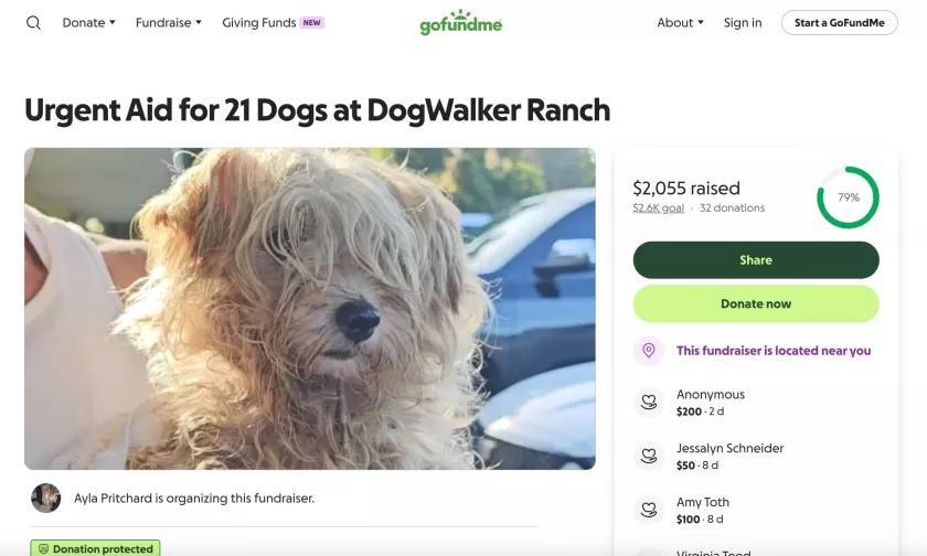 21 dogs in Ocala need new homes after boarding fallout