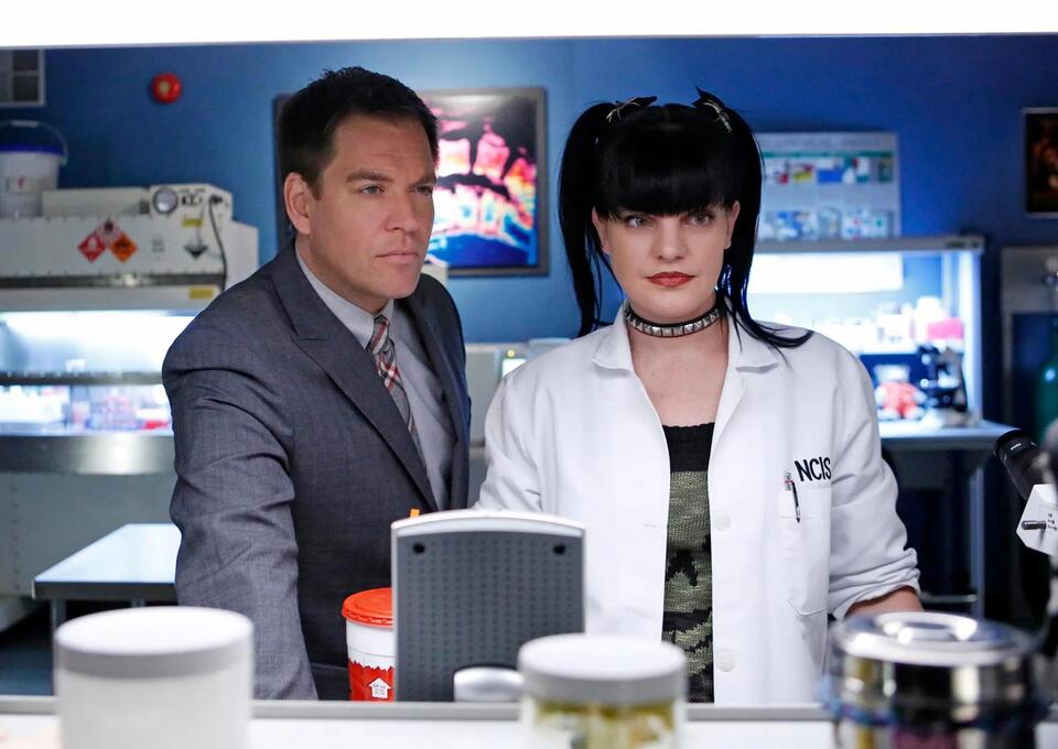 Michael Weatherly Missed Sister’s Death News 😱