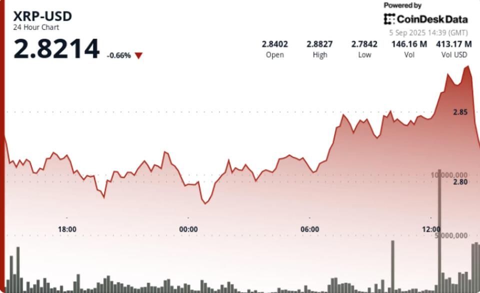 XRP Rollercoaster: Will ETF Hype Pay Off?