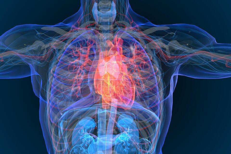 Inflammation: The Sneaky Heart Attack Risk?