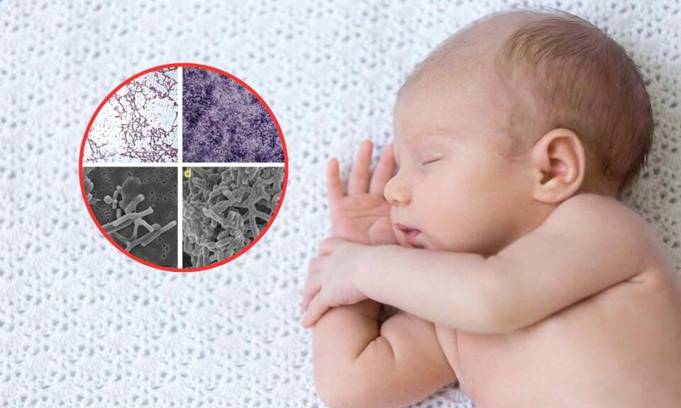 Babies Missing Key Gut Bacteria?