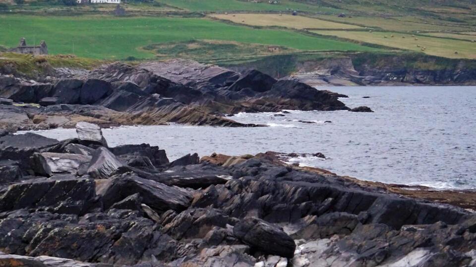 Fisherman Hauls Up 'Dinosaur Fish'—Not Extinct?!
