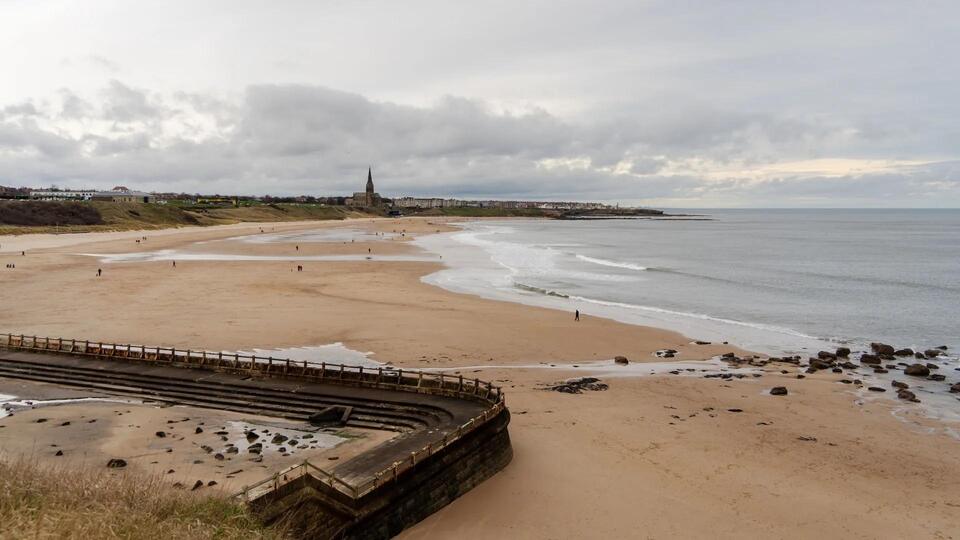 Venomous fish surge hits Northeast England beaches