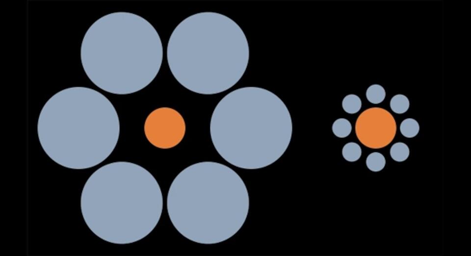 Can AI Really See What We See?