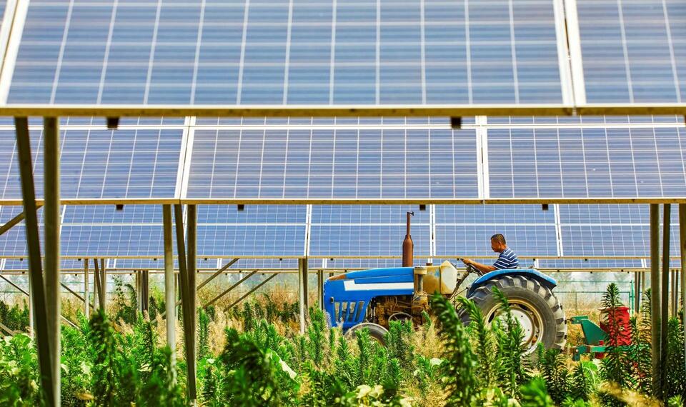Rice Fields Now Double as Solar Farms? Genius!