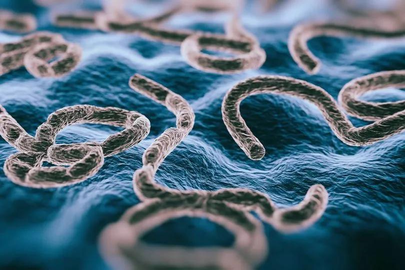 Ebola Outbreak: 15 Dead, Bleeding Eyes Symptom