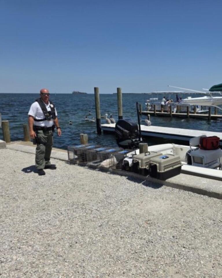 Florida cats rescued from cramped boat life