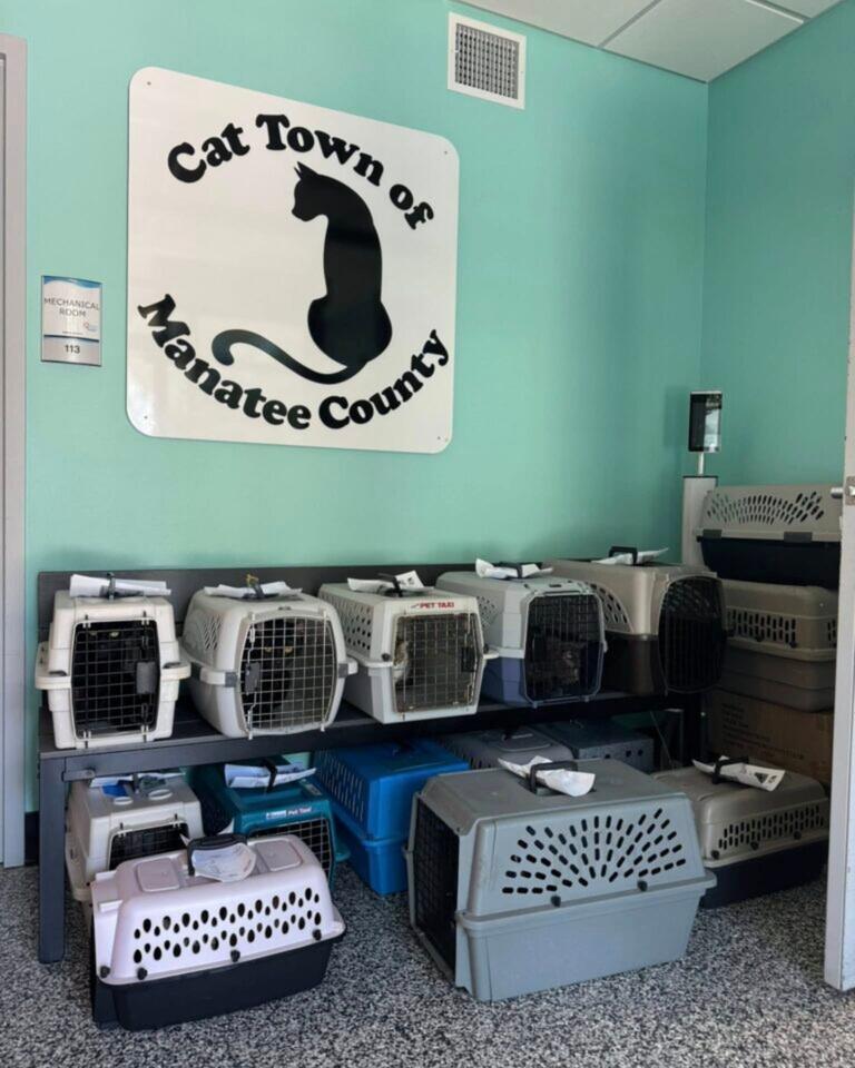 Florida cats rescued from cramped boat life