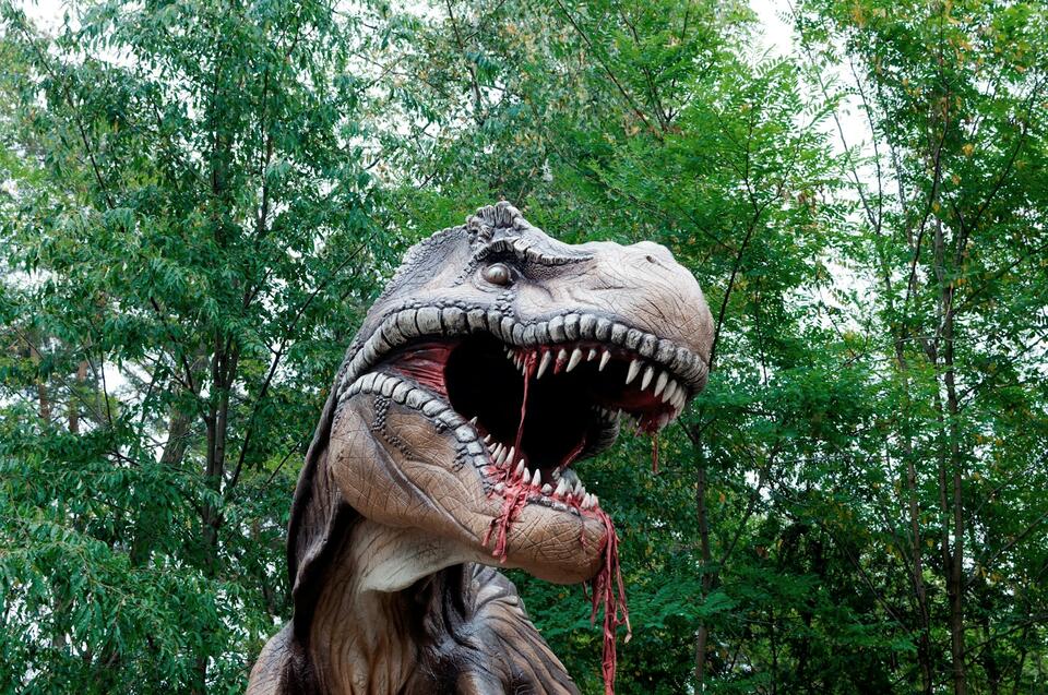 Dino Diets: Fossilized Stomachs Spill Secrets