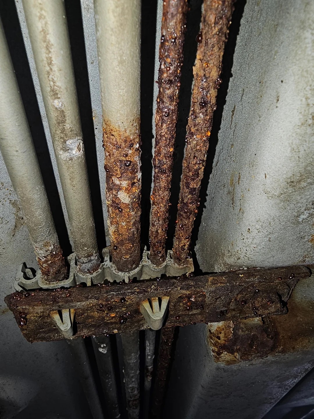 My mechanic says my rusted brake lines are fine. But I'm still terrified