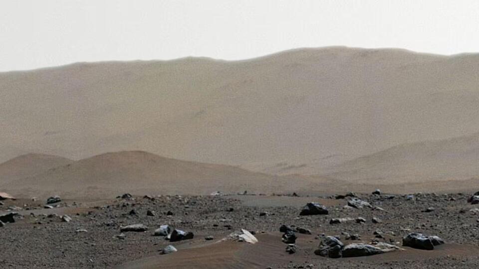 Did We Find Life on Mars? Coffee Break Edition
