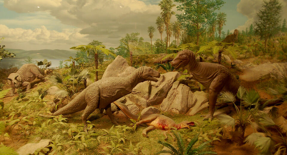 Dinosaurs’ Last Summer Was Wild
