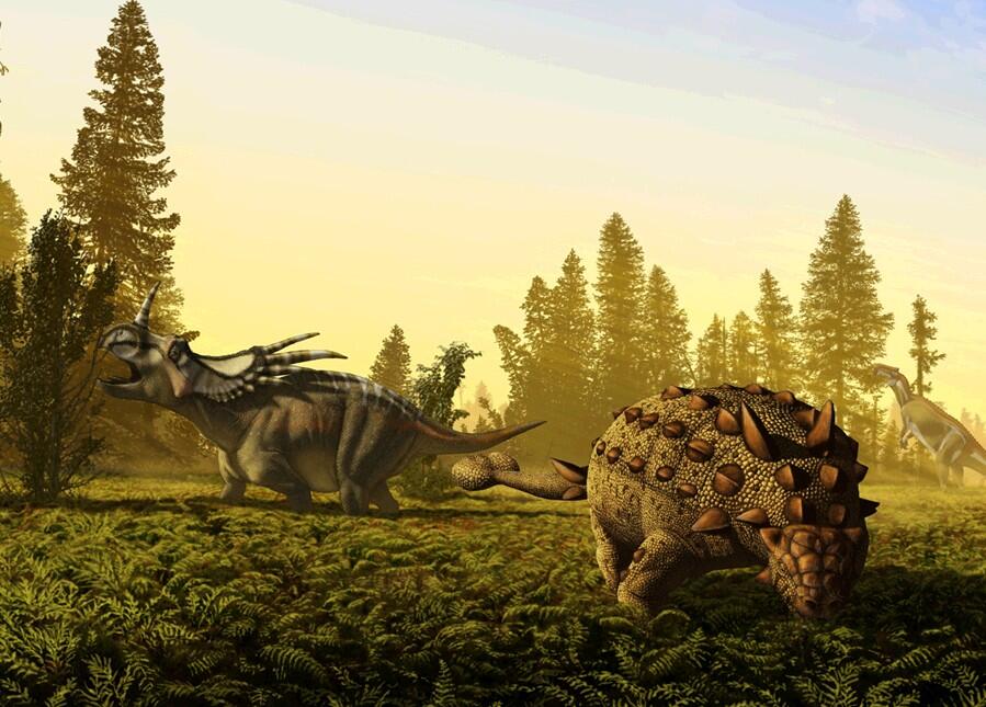 Dinosaurs’ Last Summer Was Wild