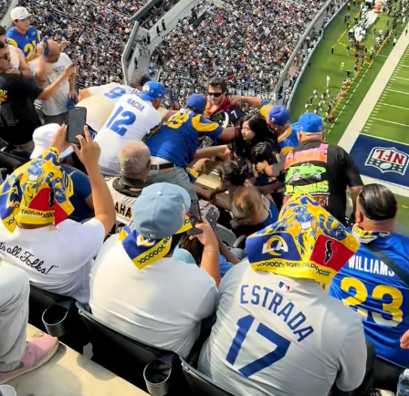 SoFi Stadium brawl ruins game day