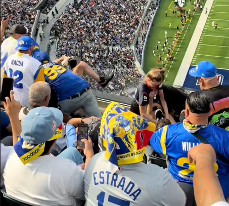 SoFi Stadium brawl ruins game day