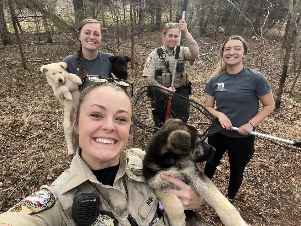 Eleven puppies abandoned in Ridgeway woods