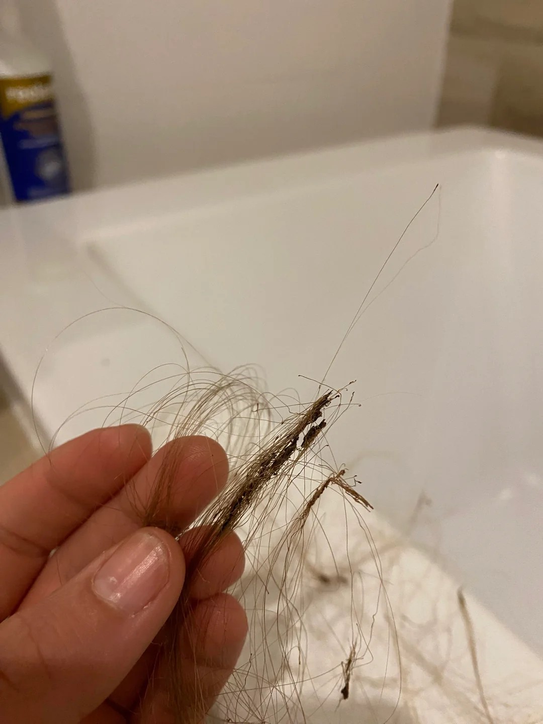 I'm Pulling Out Chunks of Hair With a Strange Waxy Substance on the Roots. What Is This?!