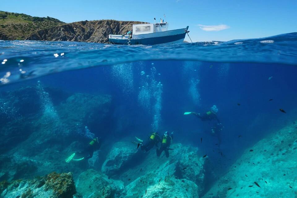Mediterranean Sea's Lionfish Takeover?!