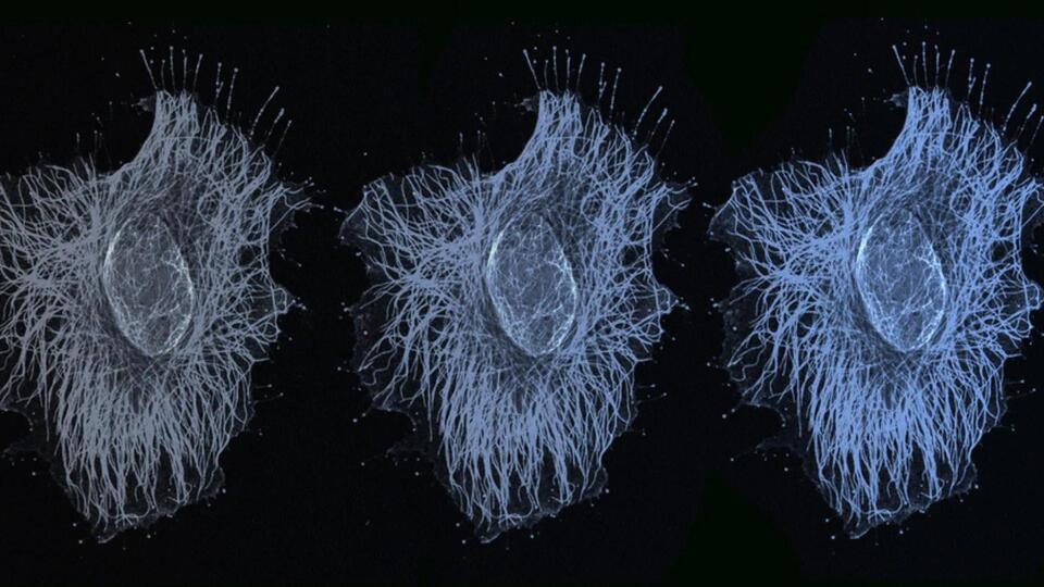 Cells Don’t Just Flip On or Off—They Dim!