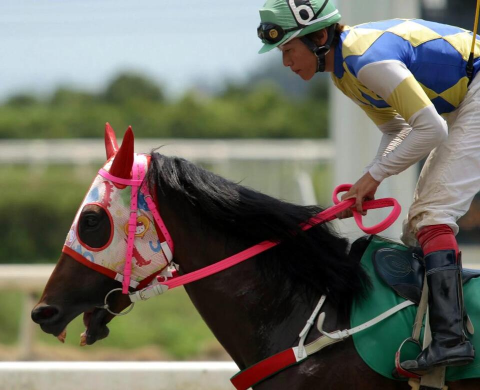 Haru Urara’s Unexpected Farewell 🐴