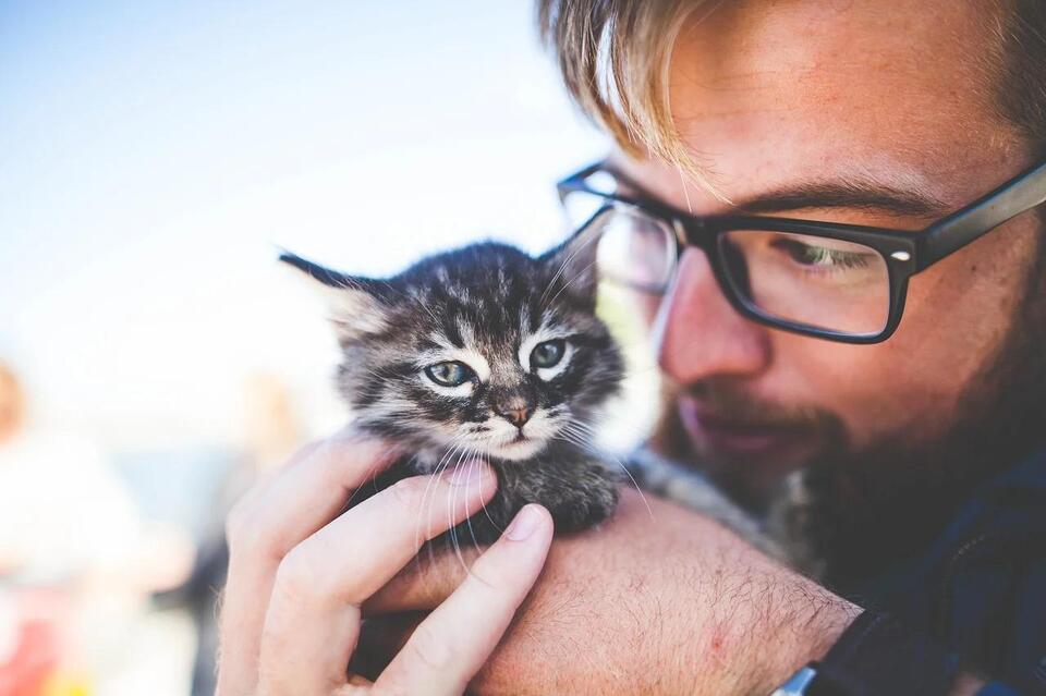 Is Your Cat Secretly Obsessed With You?
