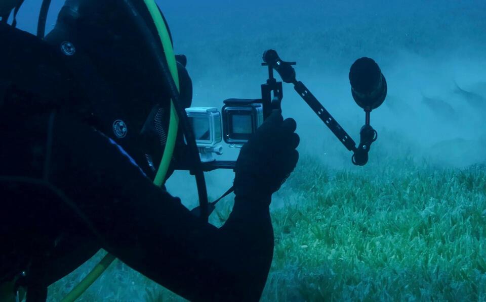 Cutest Deep-Sea Discovery Ever?